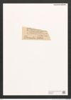 Navicula sp. (de-Toni-Nr.: Genus 1) Zeichnungen Sammlung Grunow (NHMW-BOT-W0368266)